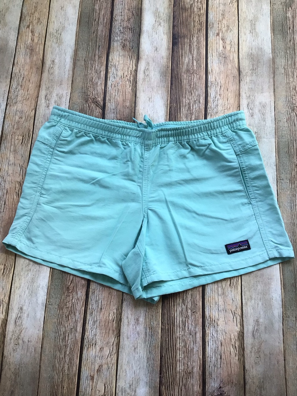 Patagonia Teal Baggie Shorts